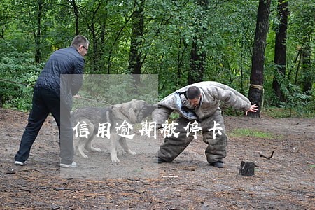 信用逾期被停卡