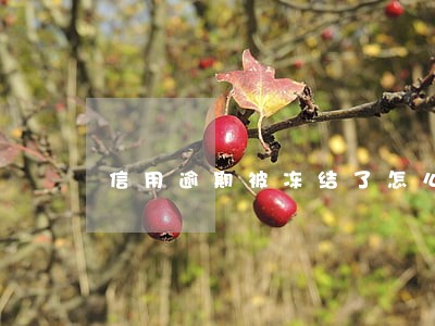 信用逾期被冻结了怎么办 信用逾期被冻结了怎么办