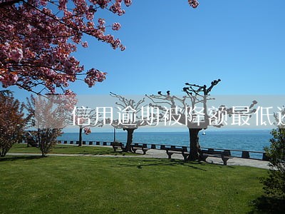 信用逾期被降额最低还款怎么还 信用逾期被降额最低还款怎么还