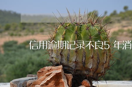 信用逾期记录不良5年消除吗 信用逾期记录不良5年消除吗