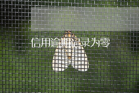 信用逾期记录为零