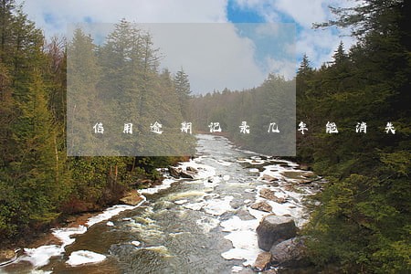 信用逾期记录几年能消失 信用逾期记录几年能消失