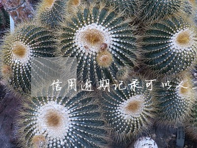 信用逾期记录可以人工修改吗 信用逾期记录可以人工修改吗