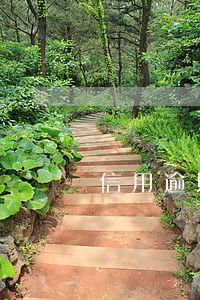 信用逾期记录多长时间消失