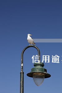 信用逾期证明怎么样写 信用逾期证明怎么样写