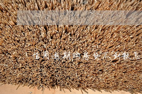 信用逾期购房贷不到款怎么 信用逾期购房贷不到款怎么