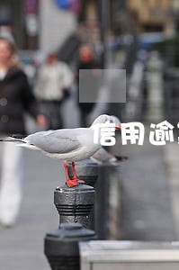 信用逾期贷不款怎么办 信用逾期贷不款怎么办
