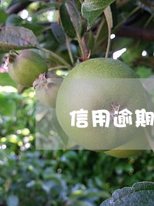 信用逾期贷款能办下来吗 信用逾期贷款能办下来吗