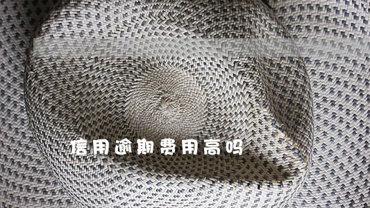 信用逾期费用高吗 信用逾期费用高吗