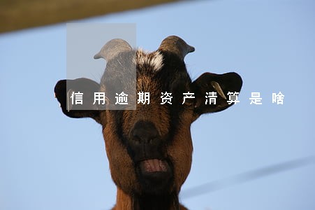 信用逾期资产清算是啥 信用逾期资产清算是啥