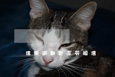 信用逾期赵正芬短信