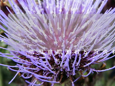 信用逾期超过5万含利息吗 信用逾期超过5万含利息吗