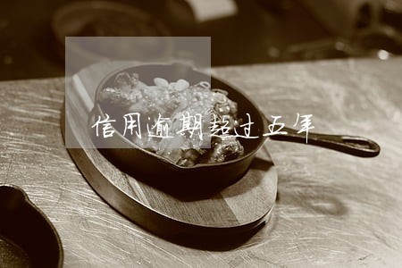 信用逾期超过五年 信用逾期超过五年