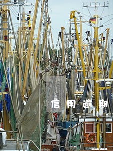 信用逾期车贷能过吗 信用逾期车贷能过吗
