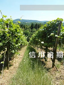 信用逾期过5年后能消吗 信用逾期过5年后能消吗