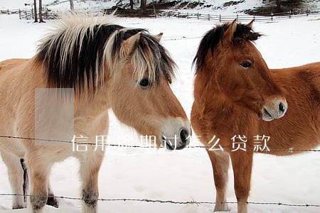 信用逾期过怎么贷款 信用逾期过怎么贷款