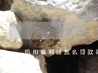 信用逾期过怎么贷款买车 信用逾期过怎么贷款买车