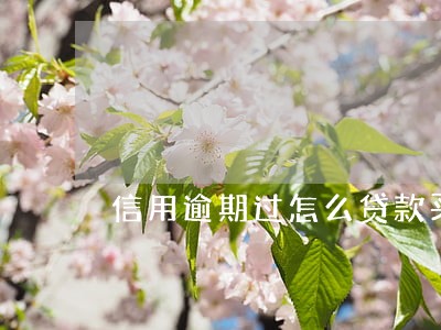 信用逾期过怎么贷款买车最划算 信用逾期过怎么贷款买车最划算