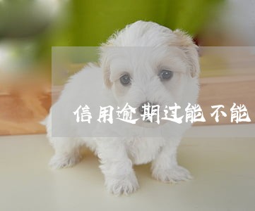 信用逾期过能不能当兵 信用逾期过能不能当兵