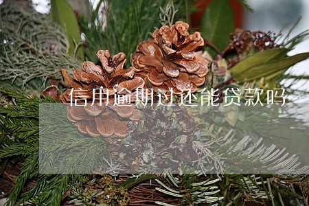 信用逾期过还能贷款吗 信用逾期过还能贷款吗