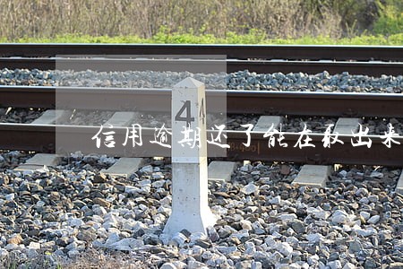信用逾期还了能在取出来吗 信用逾期还了能在取出来吗