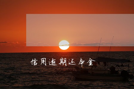 信用逾期还本金 信用逾期还本金