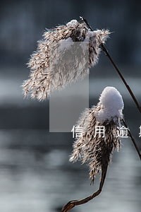 信用逾期还款会怎么样 信用逾期还款会怎么样