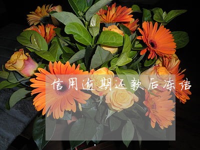 信用逾期还款后冻结 信用逾期还款后冻结
