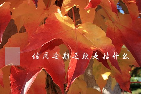信用逾期还款是指什么 信用逾期还款是指什么