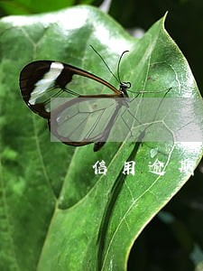 信用逾期还款是指什么影响 信用逾期还款是指什么影响