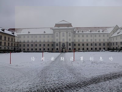信用逾期还算利息吗 信用逾期还算利息吗