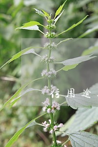 信用逾期还能不能贷款 信用逾期还能不能贷款