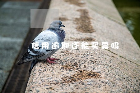 信用逾期还能买票吗 信用逾期还能买票吗