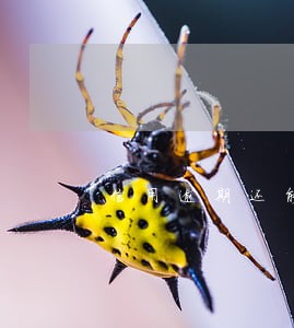 信用逾期还能考公务员