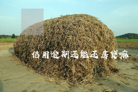 信用逾期还能还房贷嘛 信用逾期还能还房贷嘛