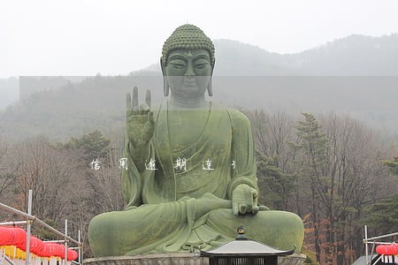 信用逾期连3 信用逾期连3