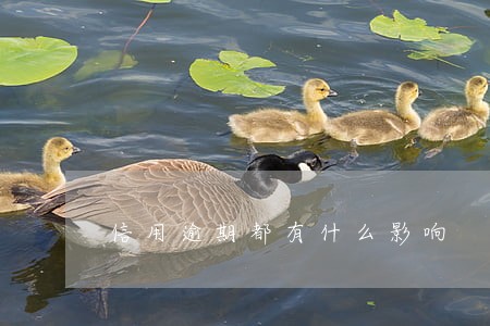 信用逾期都有什么影响 信用逾期都有什么影响