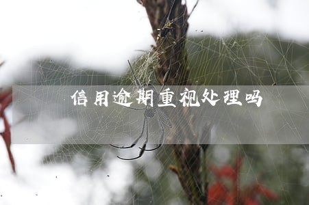 信用逾期重视处理吗 信用逾期重视处理吗