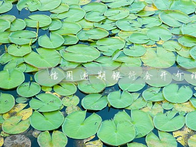 信用逾期银行会开介绍信吗 信用逾期银行会开介绍信吗