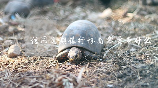 信用逾期银行协商需要带什么 信用逾期银行协商需要带什么