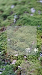 信用逾期阜阳房贷担保 信用逾期阜阳房贷担保