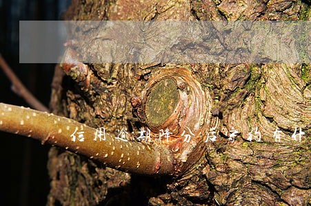 信用逾期降分后守约有什么作用 信用逾期降分后守约有什么作用