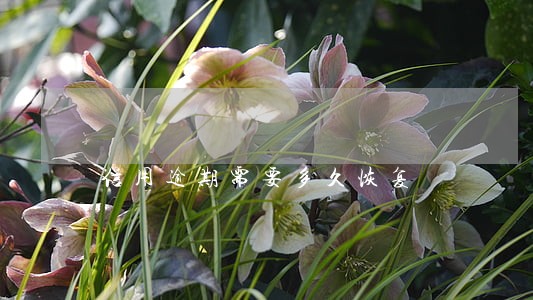 信用逾期需要多久恢复 信用逾期需要多久恢复