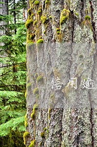 信用逾期黑户通知版本 信用逾期黑户通知版本