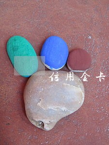 信用金卡app逾期55天