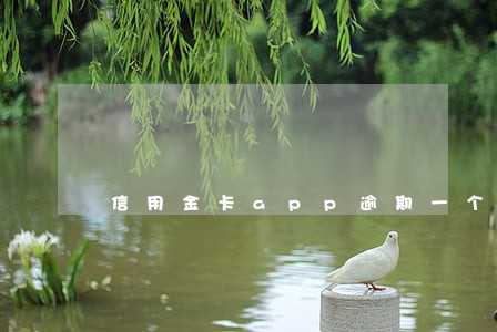 信用金卡app逾期一个月 信用金卡app逾期一个月