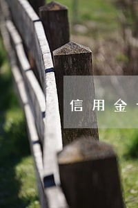 信用金卡不减逾期费 信用金卡不减逾期费