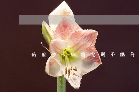 信用金卡以前逾期不能再借 信用金卡以前逾期不能再借