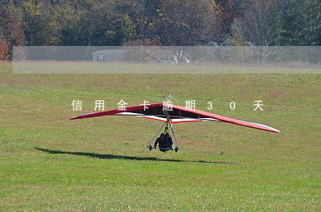 信用金卡逾期30天 信用金卡逾期30天