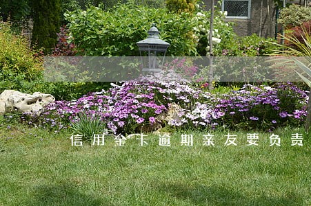 信用金卡逾期亲友要负责吗 信用金卡逾期亲友要负责吗